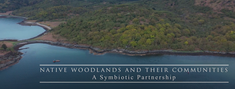Showcasing the Social and Economic Benefits Derived from Community Woodlands