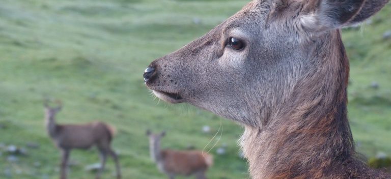 Common Ground Forum Gathering 2025