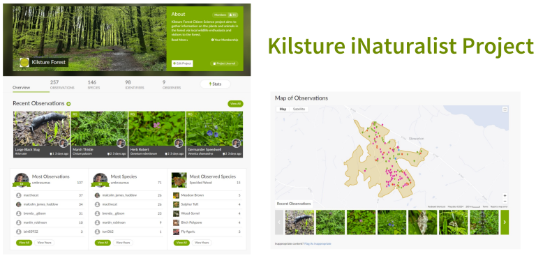 Woodland Management Planning as Co-Custodians