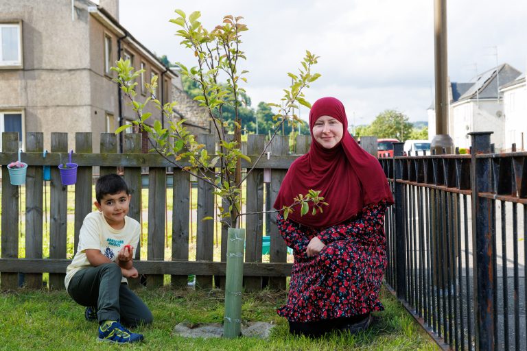 Free nut and fruit trees | Stirling