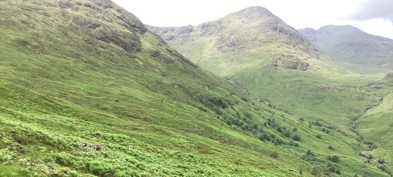 Black Corries, Allt Giubhais | Restoring 44 hectares of ghost woodland