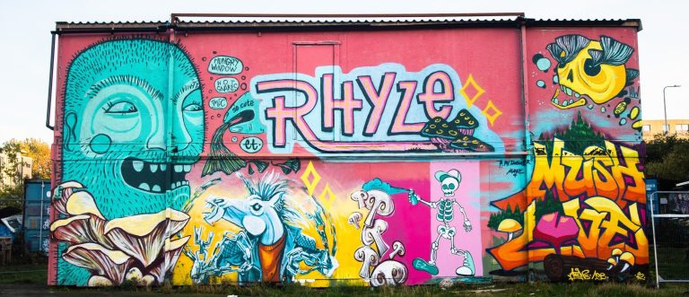 Helping to lay the groundwork for Chaga cultivation in Scotland