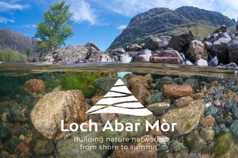 Riparian Woodland Demonstration Site Visits