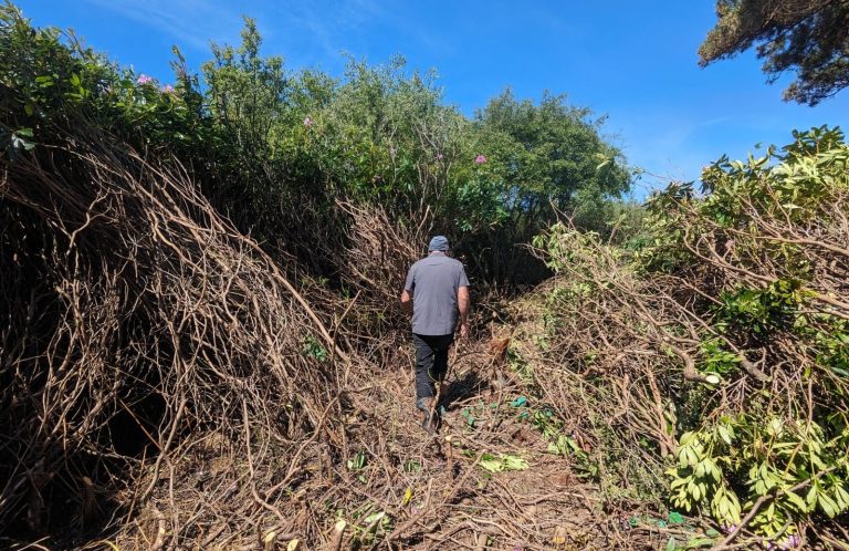 Assessing RTK multispectral surveying to aid removal of INNS