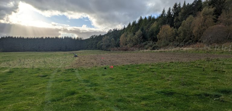 Trial establishing native woodland directly from seed in grazed farmland without fencing