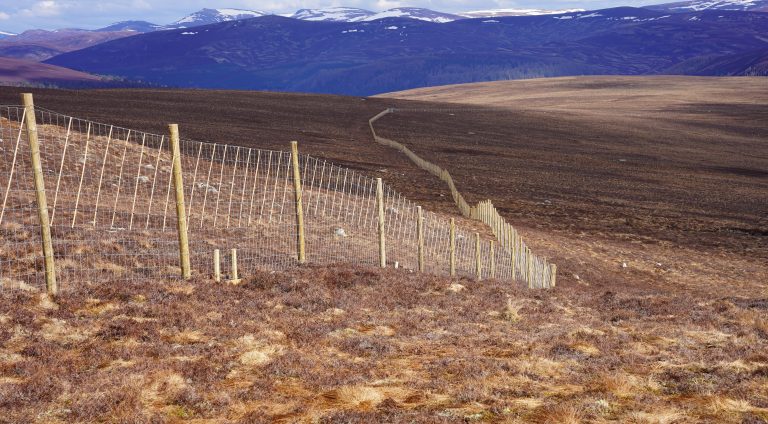 Researching the costs, benefits, and trade-offs of deer fencing compared with alternative deer management approaches